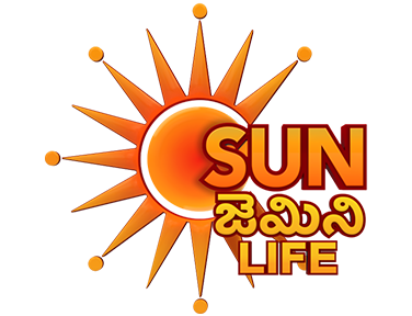 Sun Gemini Life